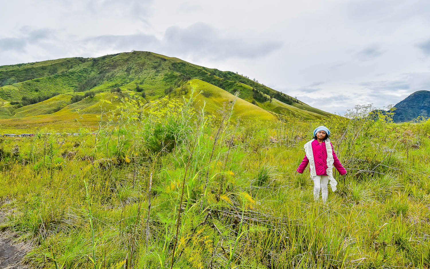 Pesona Keindahan Wisata Bukit Teletubbies Bromo Kayanatour Com - Riset